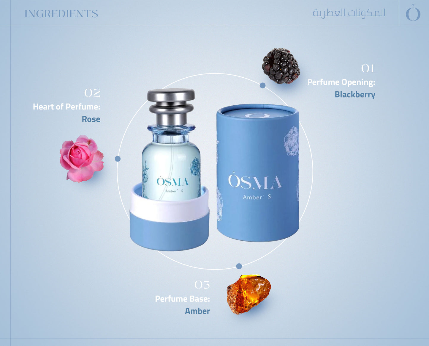 OSMA AMBER S