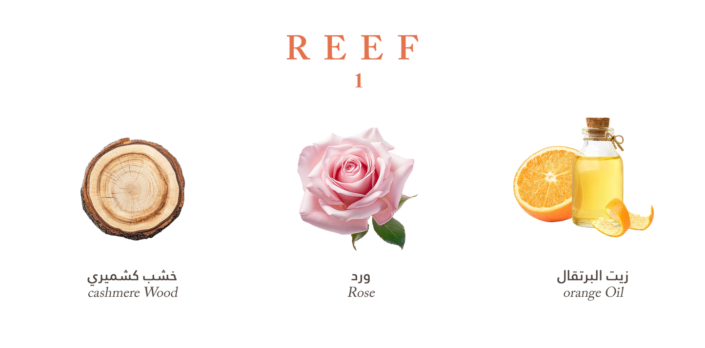 REEF 1