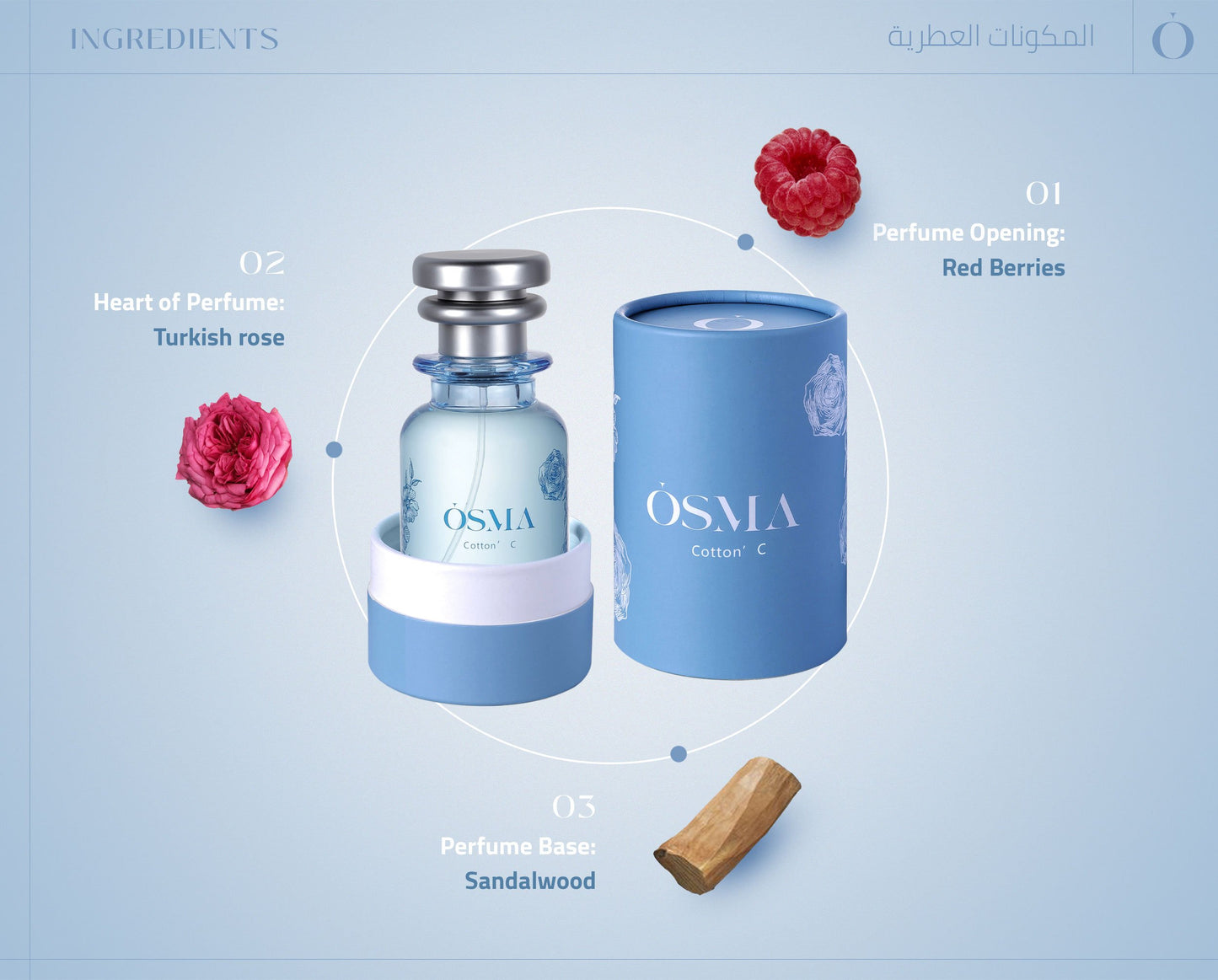 OSMA COTTON C