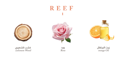 REEF 1